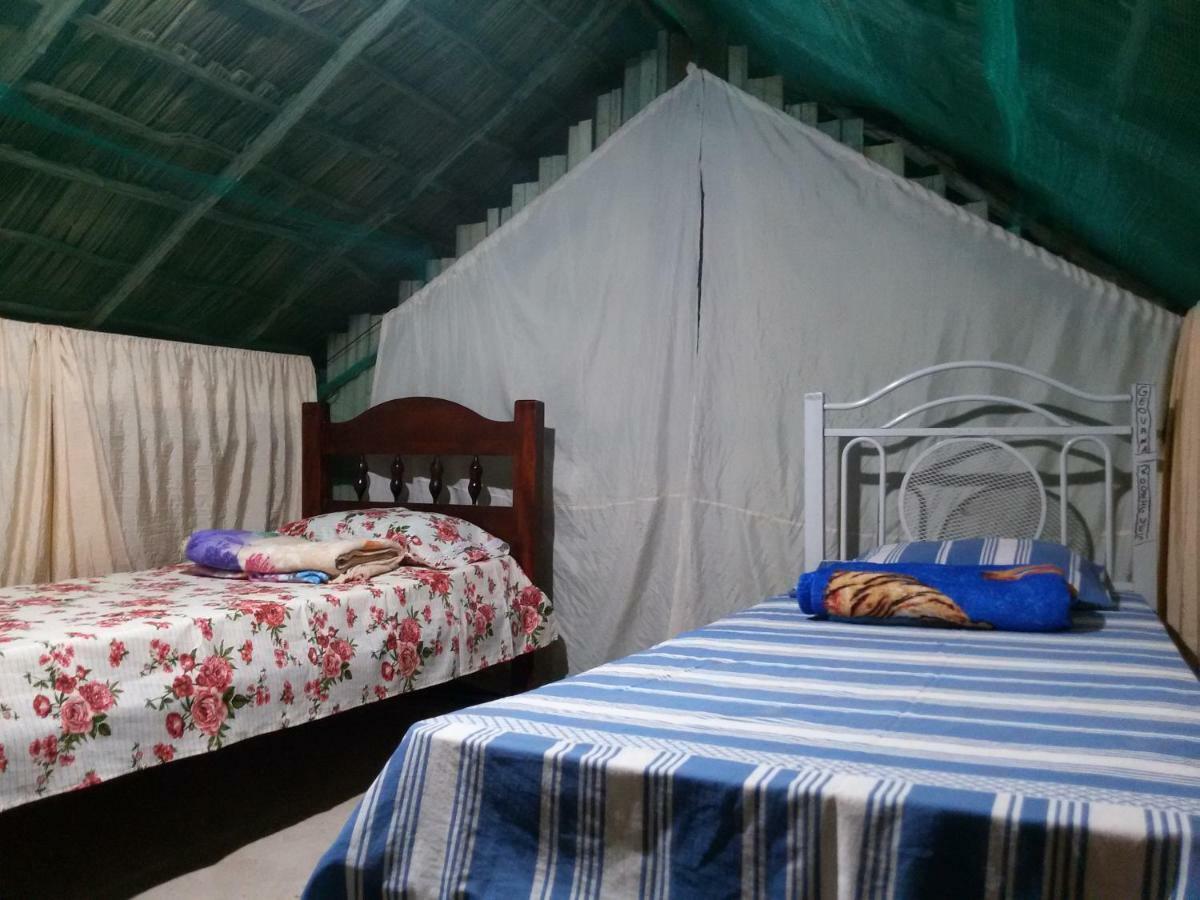 Refugio Raiz Camping Carolina  Zewnętrze zdjęcie